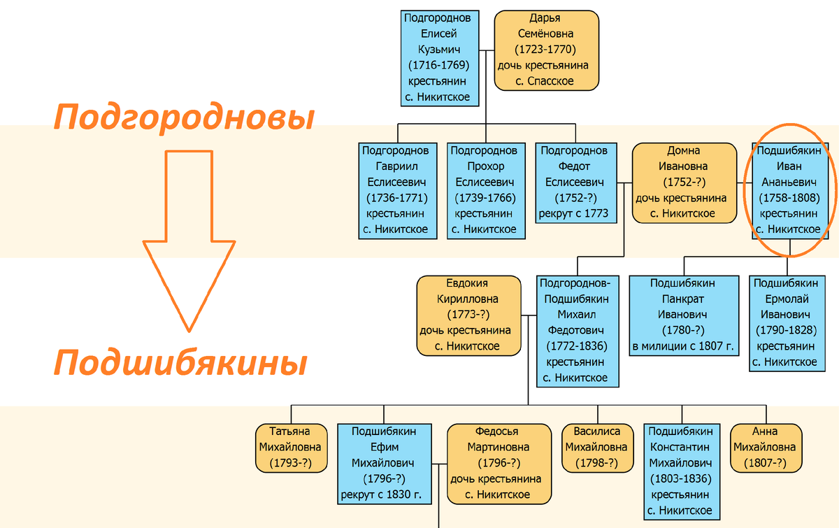 Фамилии семей. Михаил Иванович Калинин родословная. Баклановы родословная. Смирновы родословная. Калинин генеалогическое дерево.