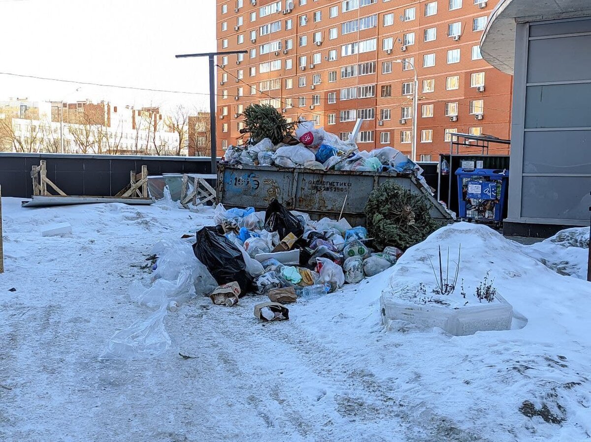 #ГоворятМытищи_мусор #мкрн25 #Рождественка #гоМытищи#ГоворятМытищи_мусор #мкрн25 #Рождественка #гоМытищи