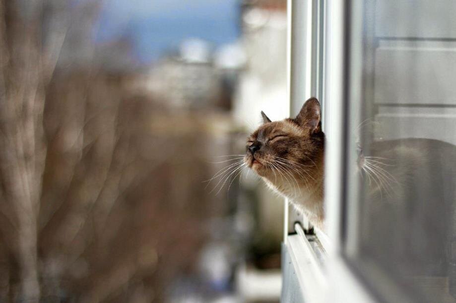 Фото — 24tv.ua