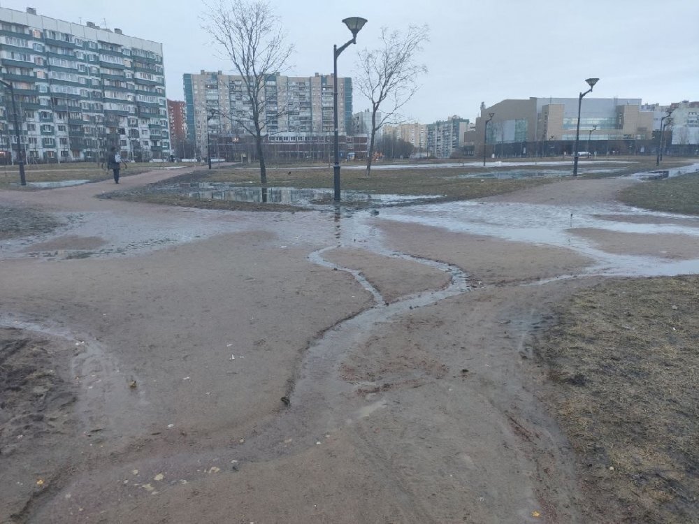 Затопленный парк Боевого Братства. Фото из ВК-группы "Молодой Петербург"