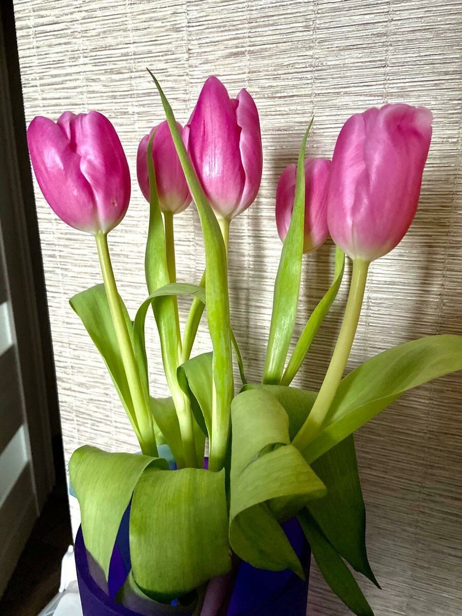 Добавьте описание