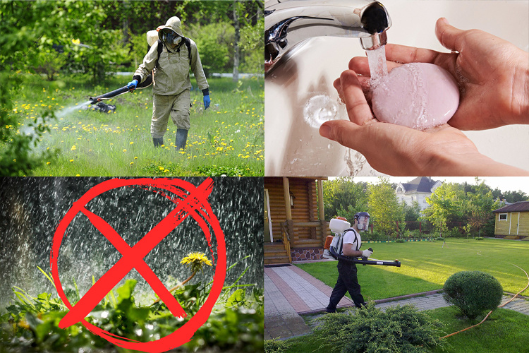 Рекомендации по обработке участка от клещей