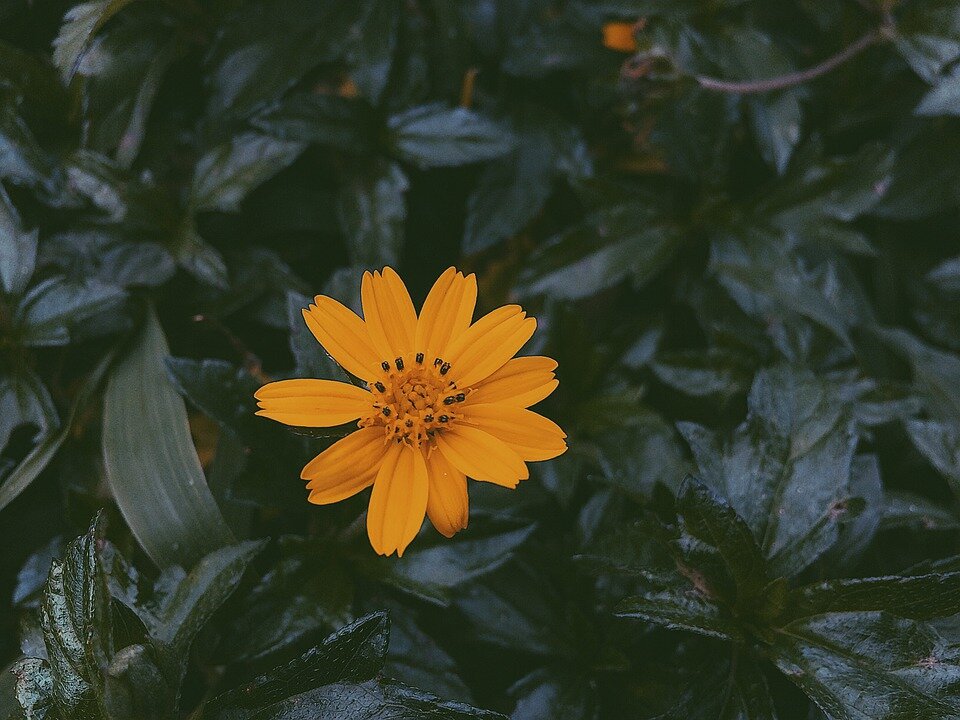 фото взято из открытых источников