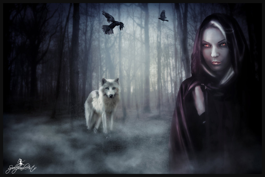 Ведьма. Картинка из интернета.