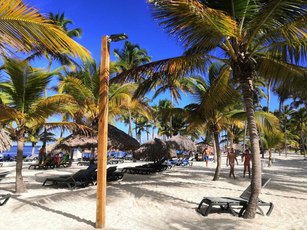 Доминикана пунта кана. Пунта кана доминикана бич. Riu bambu 5*. Прямые в доминикану. Доминикана пуанта кама.