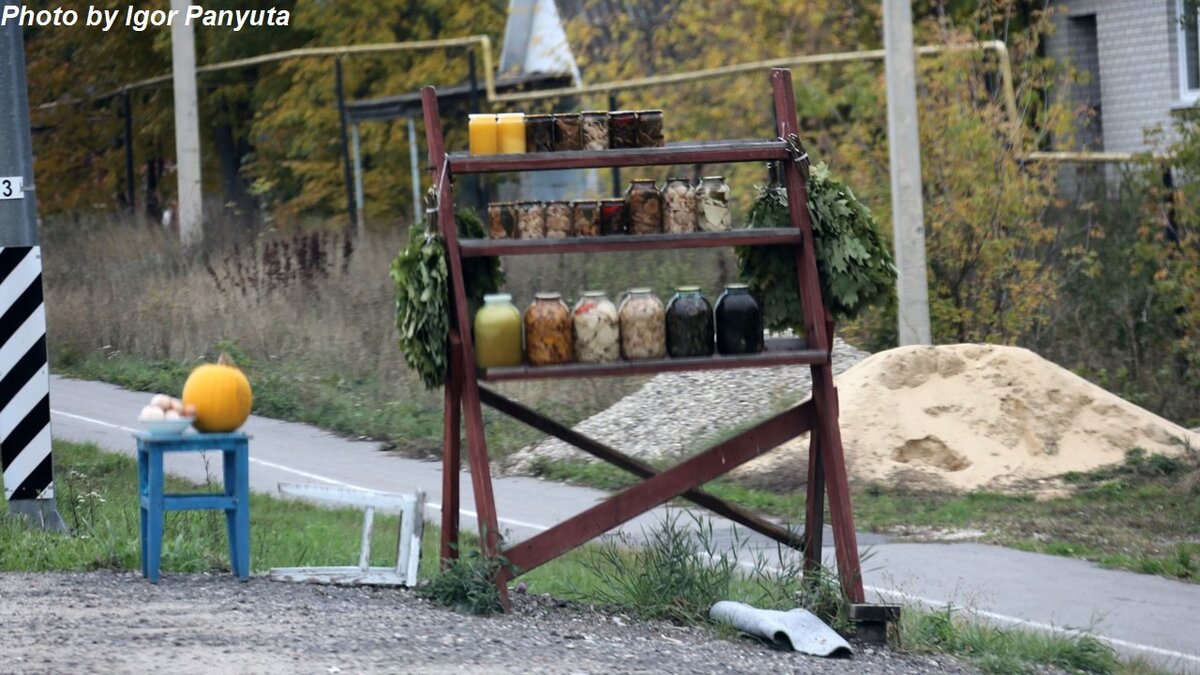 Солёные грибы сомнительного качества