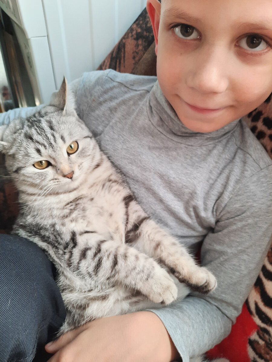 Два котика)