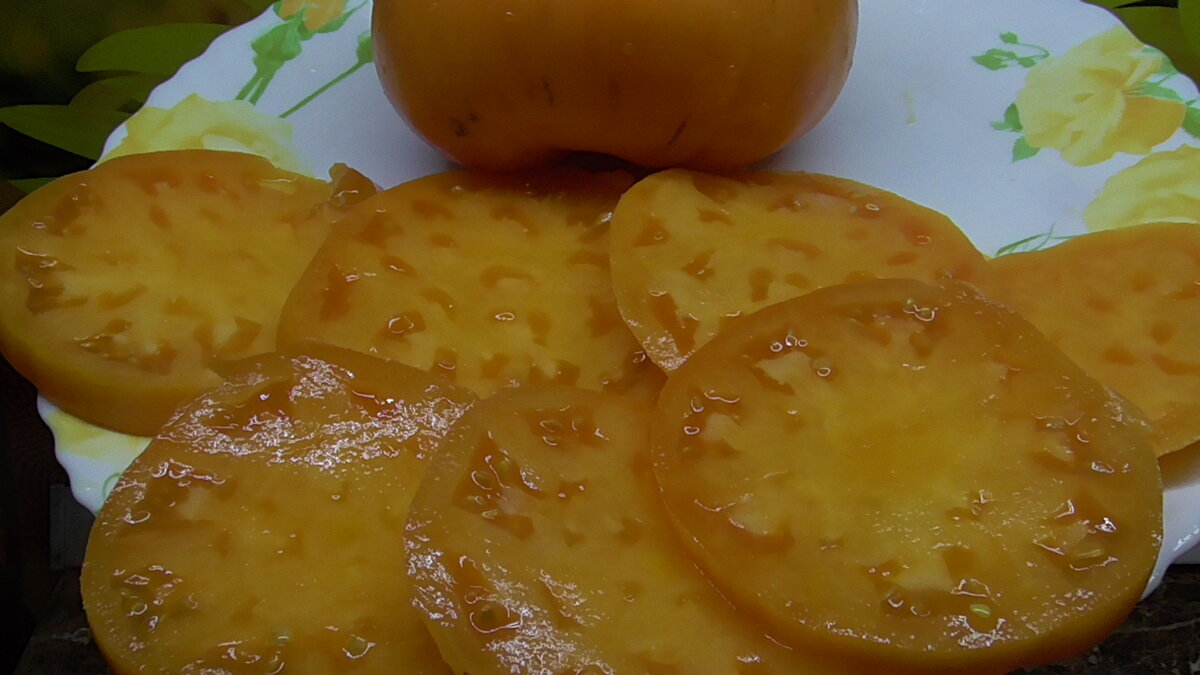 Томат Мясной завтрак. 
