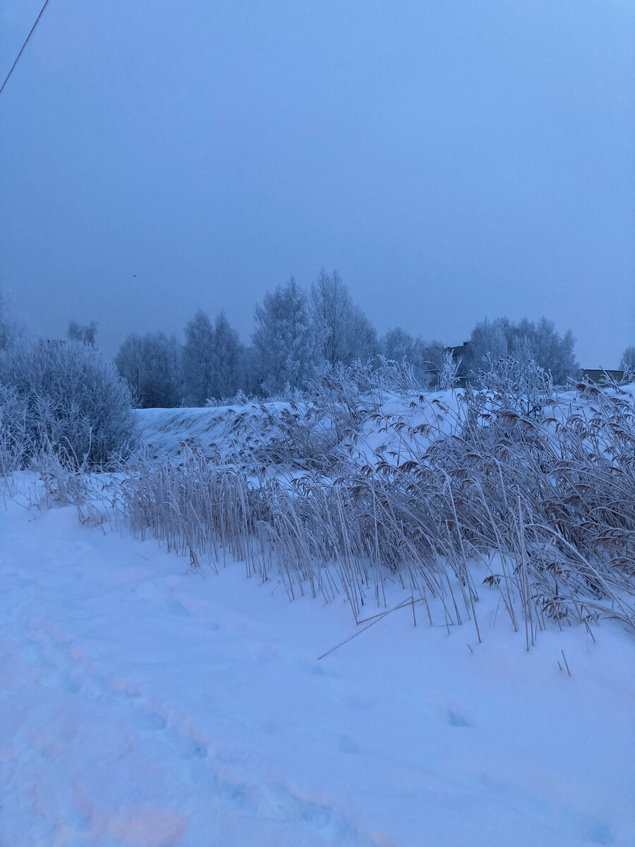 Авторское фото