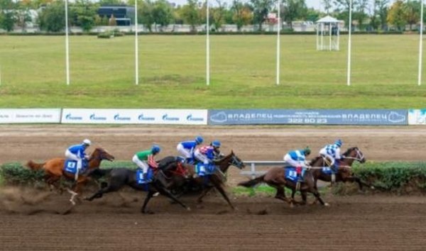 Источник фото: vk.com/rostovskii_ippodrom