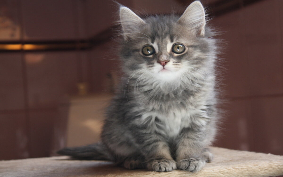 Фото взято с Яндекс.Картинки для примера