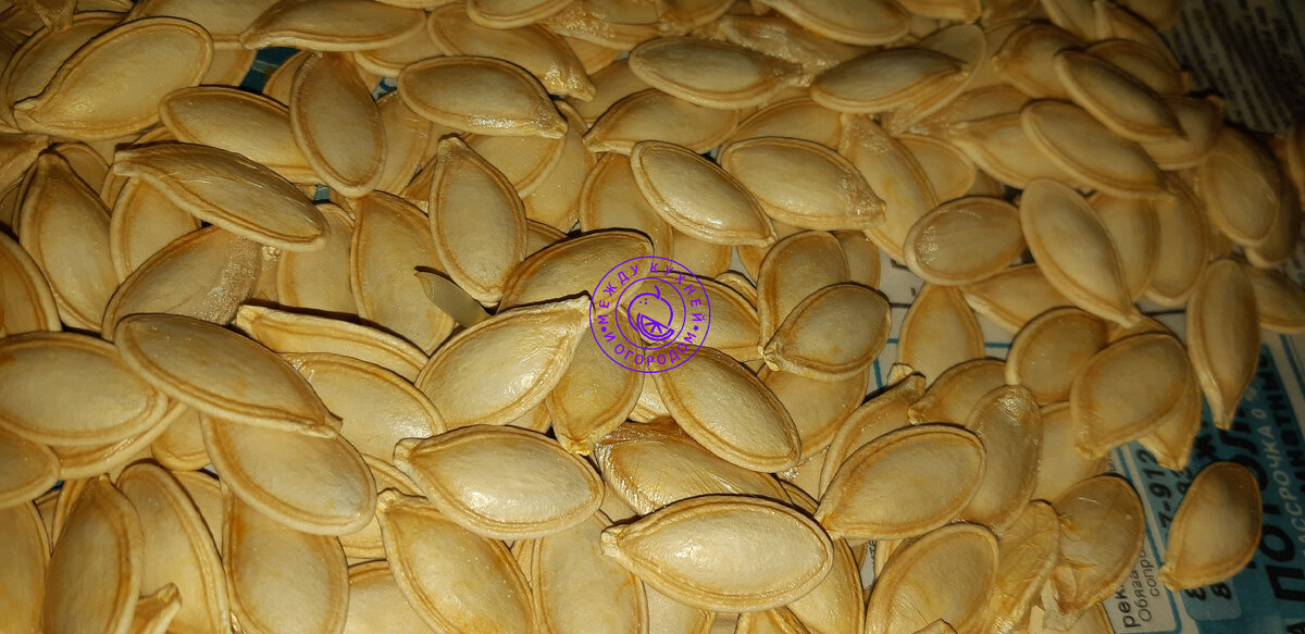 Вот они, вожделенные семечки