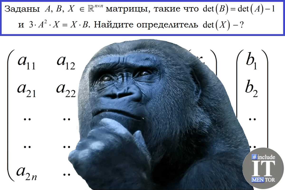 В этой заметке я хотел бы затронуть линейную алгебру. Вчера в чате репетиторов по математике выложили вопрос с интересной задачкой по матричной алгебре.