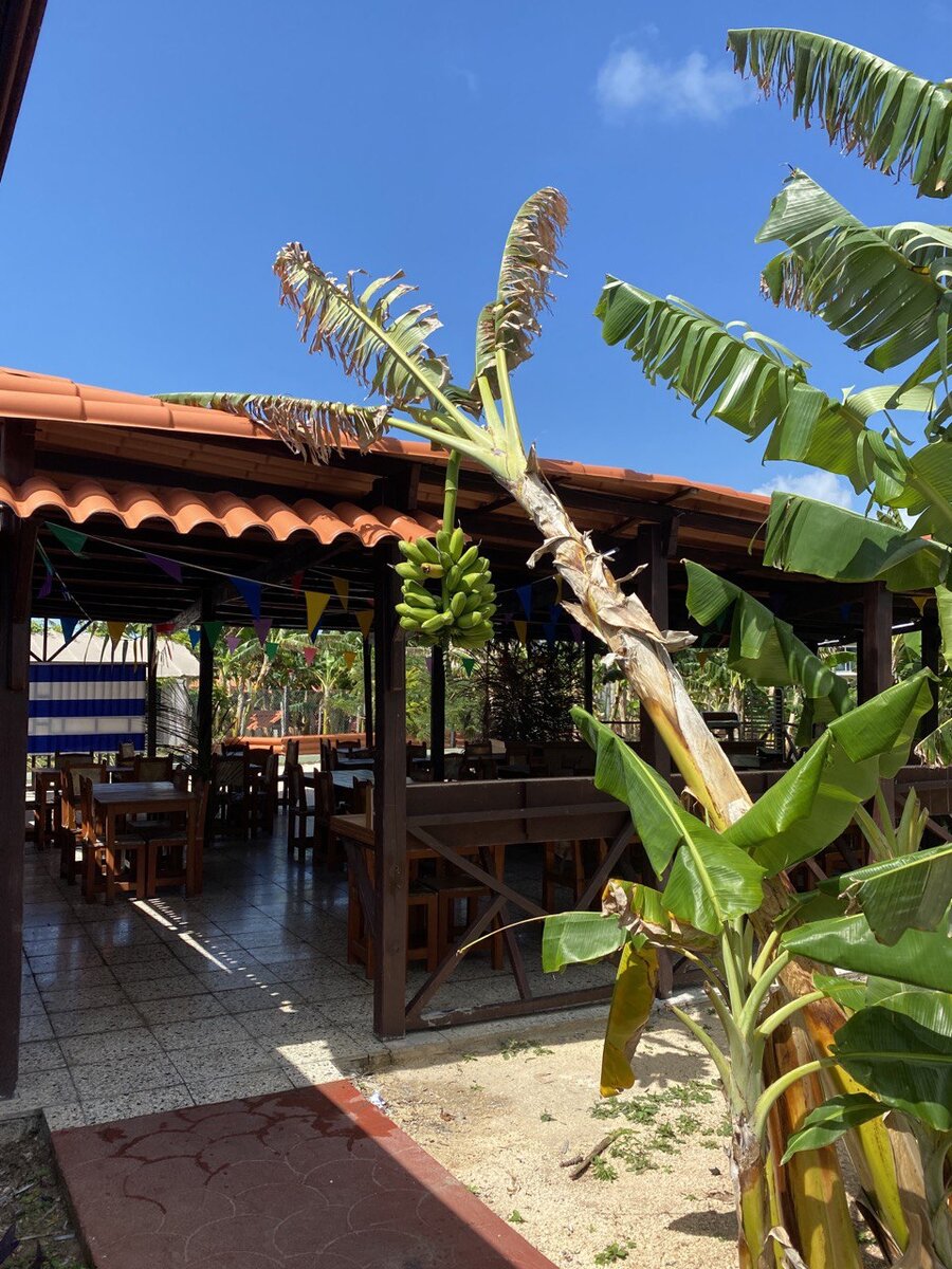 Pullman Cayo Coco 5* Куба, Кайо Коко
