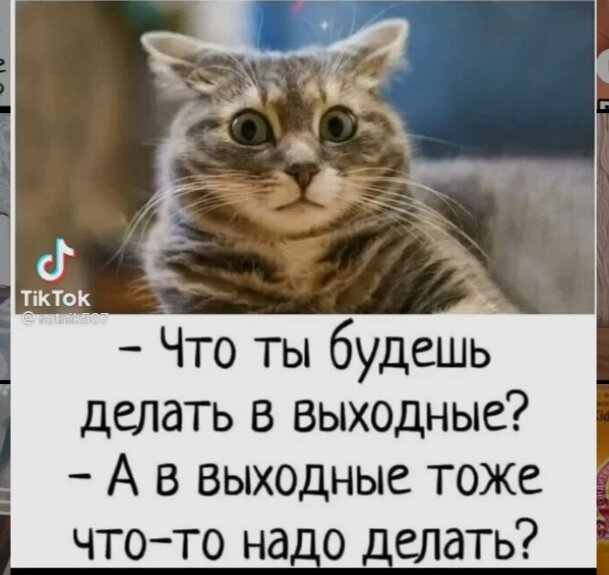 Из интернета