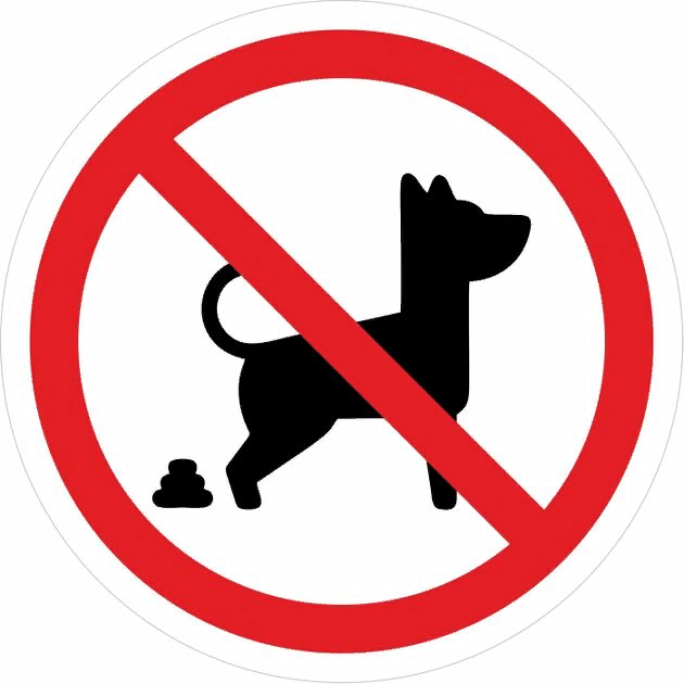 Источник: https://cdn1.ozone.ru/s3/multimedia-5/6014498753.jpg