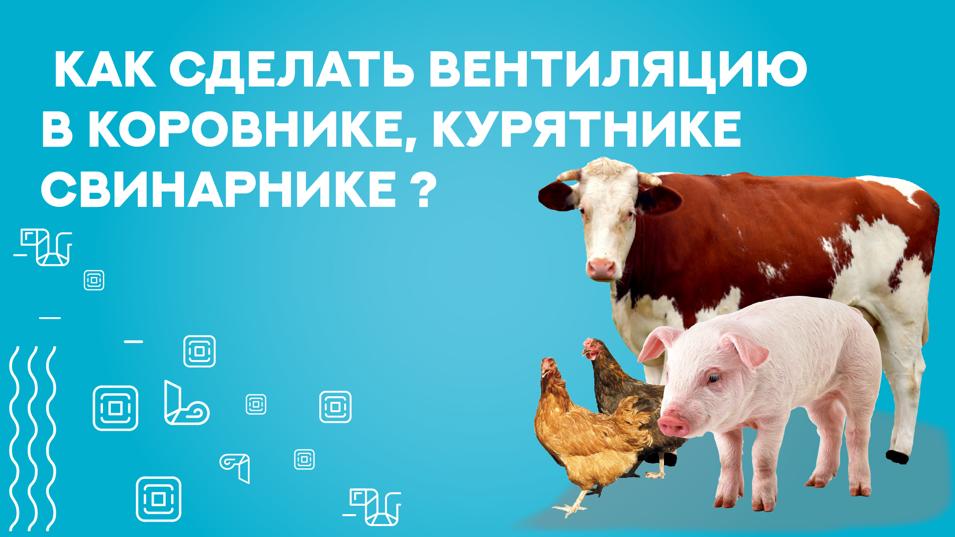 Приточно-вытяжная вентиляция в курятнике