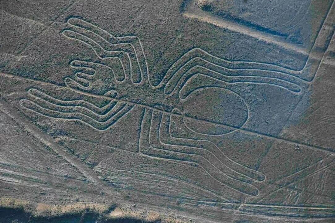 Геоглифы, нанесенные на пустыню Наска. Фото из открытых источников 