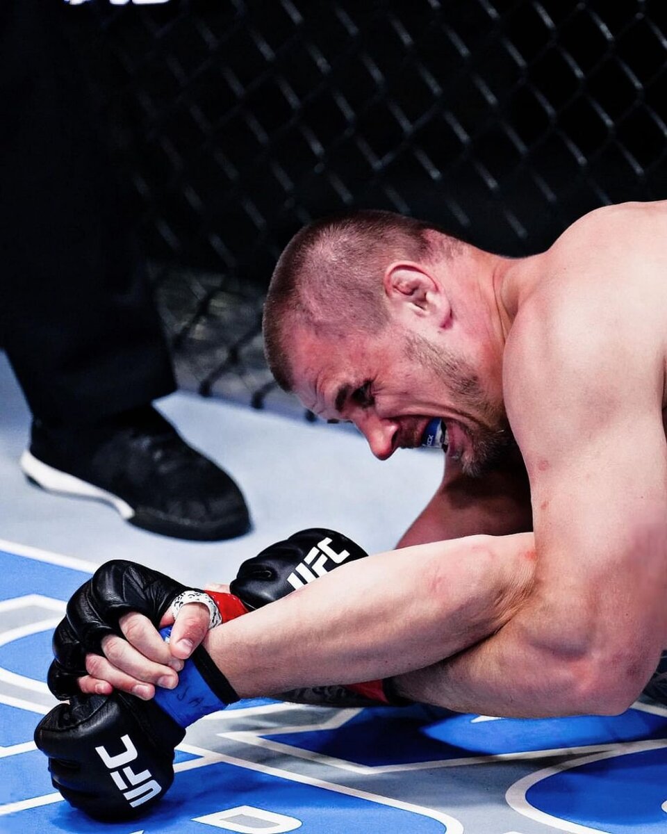 Фото взято из источника Vk.com/ufc