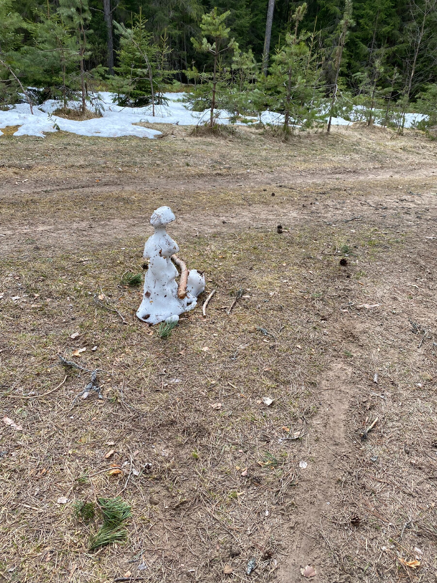 Наша снежная баба в мае