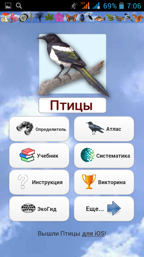 Найти птицу по фото с телефона