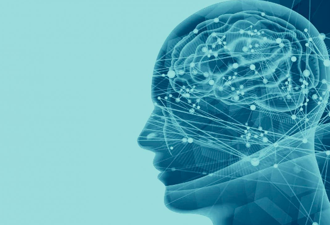 Проект blue brain