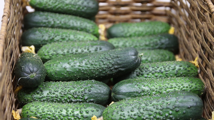 ФОТО: MAKSIM KONSTANTINOV/GLOBALLOOKPRESS