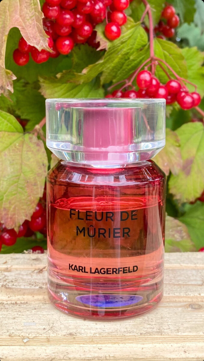 Fleur de Murier Karl Lagerfeld Аромат, который покорит Вас своим шлейфом 💕  Лёгкий, ненавязчивый, игривый. Его не нужно наносить на кожу и ждать сложного раскрытия.