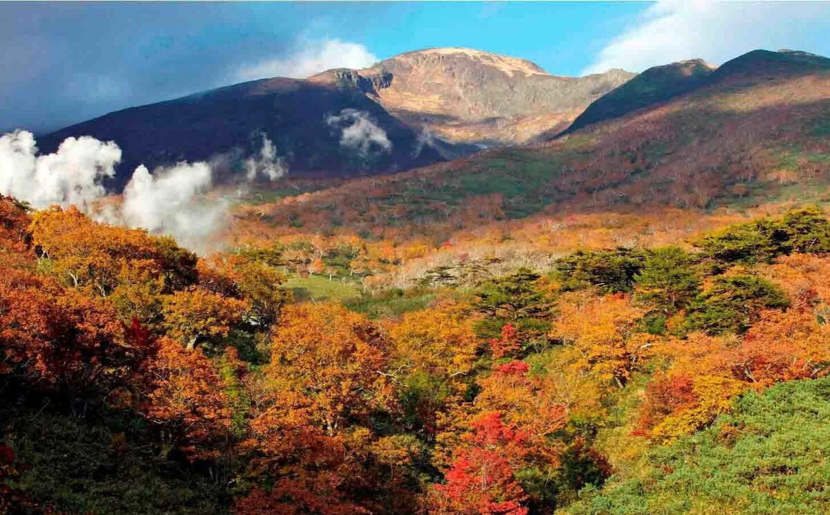Дальний Восток. Фото из открытого доступа. 