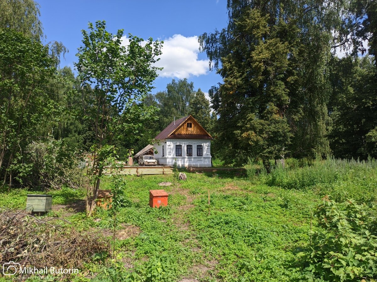 Справа видны высокие заросли травы. 