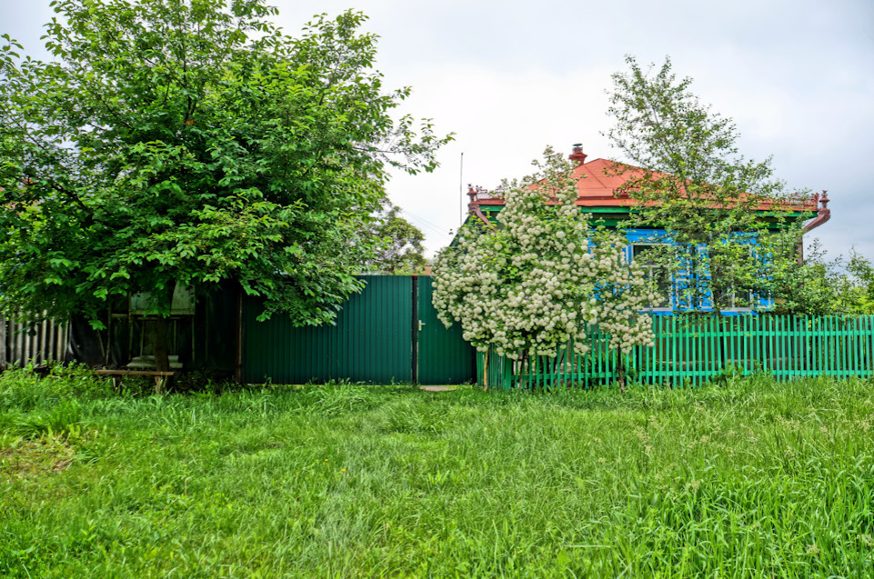 Яндекс картинки, для илюстрации