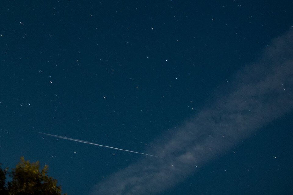     Звездопад Персеиды попал на видео в Петербурге / Фото: Мария Кенсовская