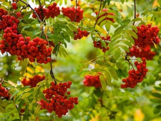     © Фото: ИД «Волгоградская правда» / Сергей Григоренко / архив.