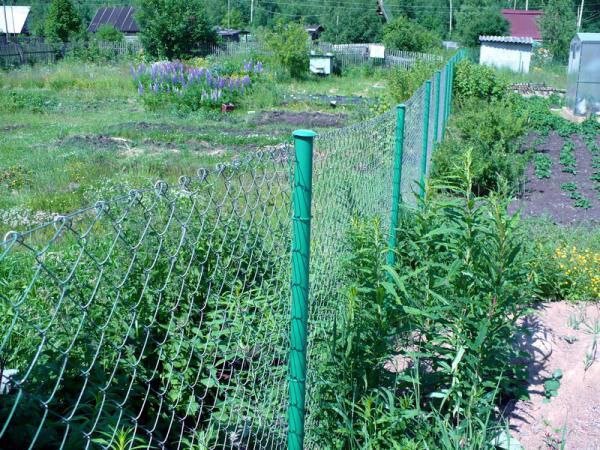 Скоро выяснилось, что сетку Виктор натянул неправильно, влез на чужой огород. (фото из открытых источников)