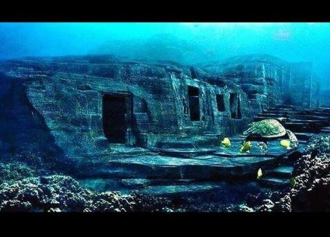 фото из открытых источников