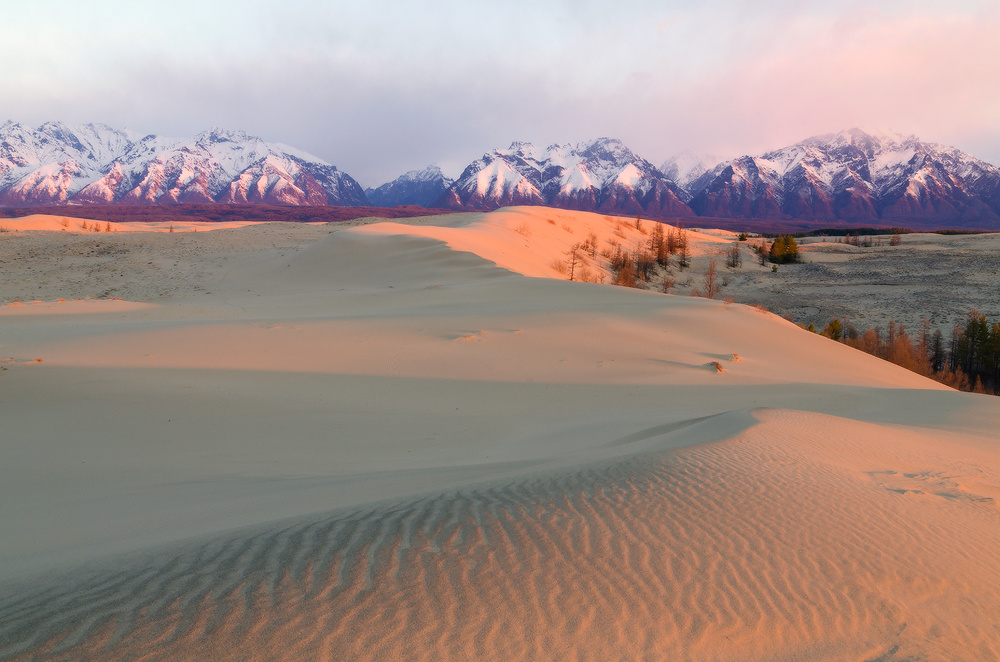 Какой размер пустыни чарские пески. Чарские пески барханы. Какой размер пустыни чарские пески. Пустыня чара забайкальский край. Чарские пески забайкальский край.