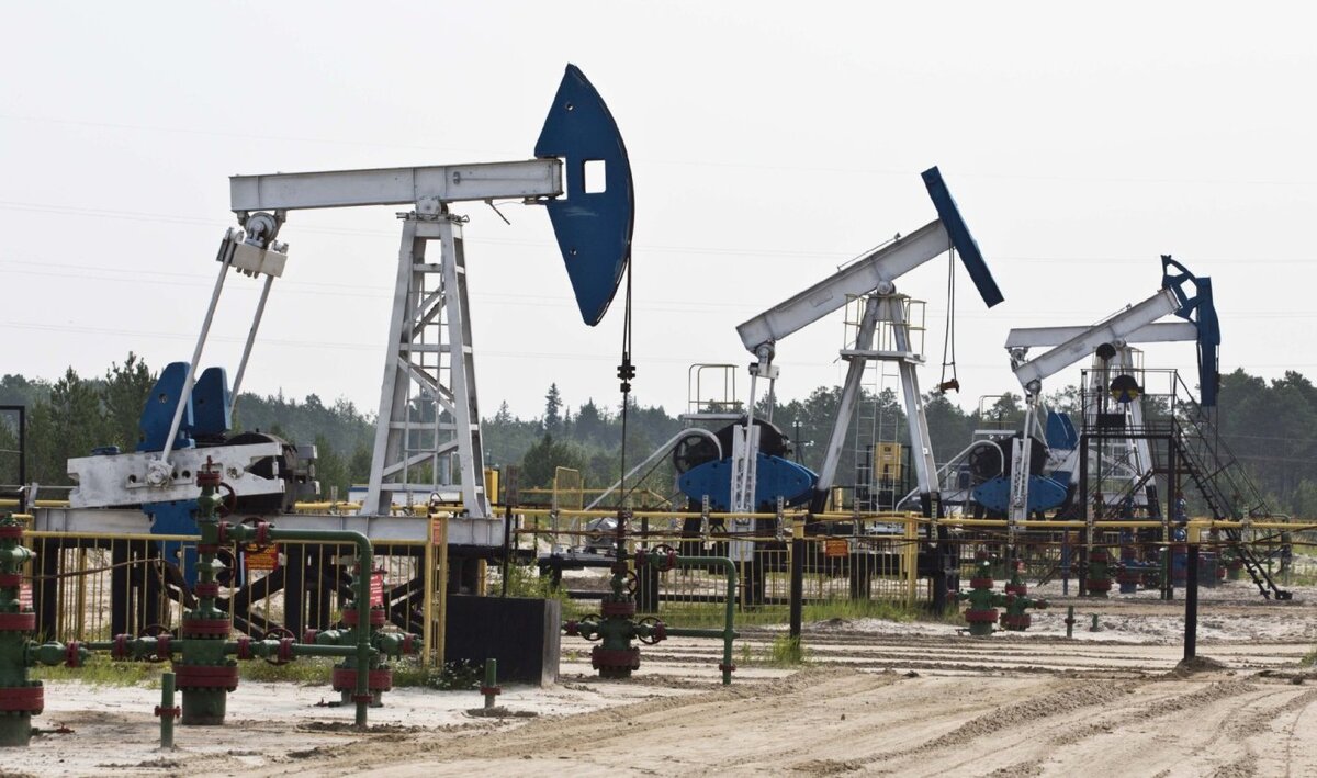    Потолок цен ЕС не будет действовать на два вида продуктов из российской нефти