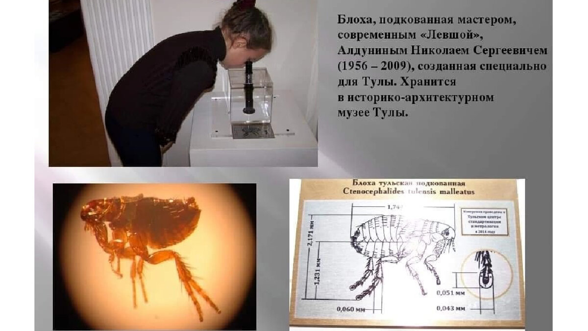 Левша в каком году