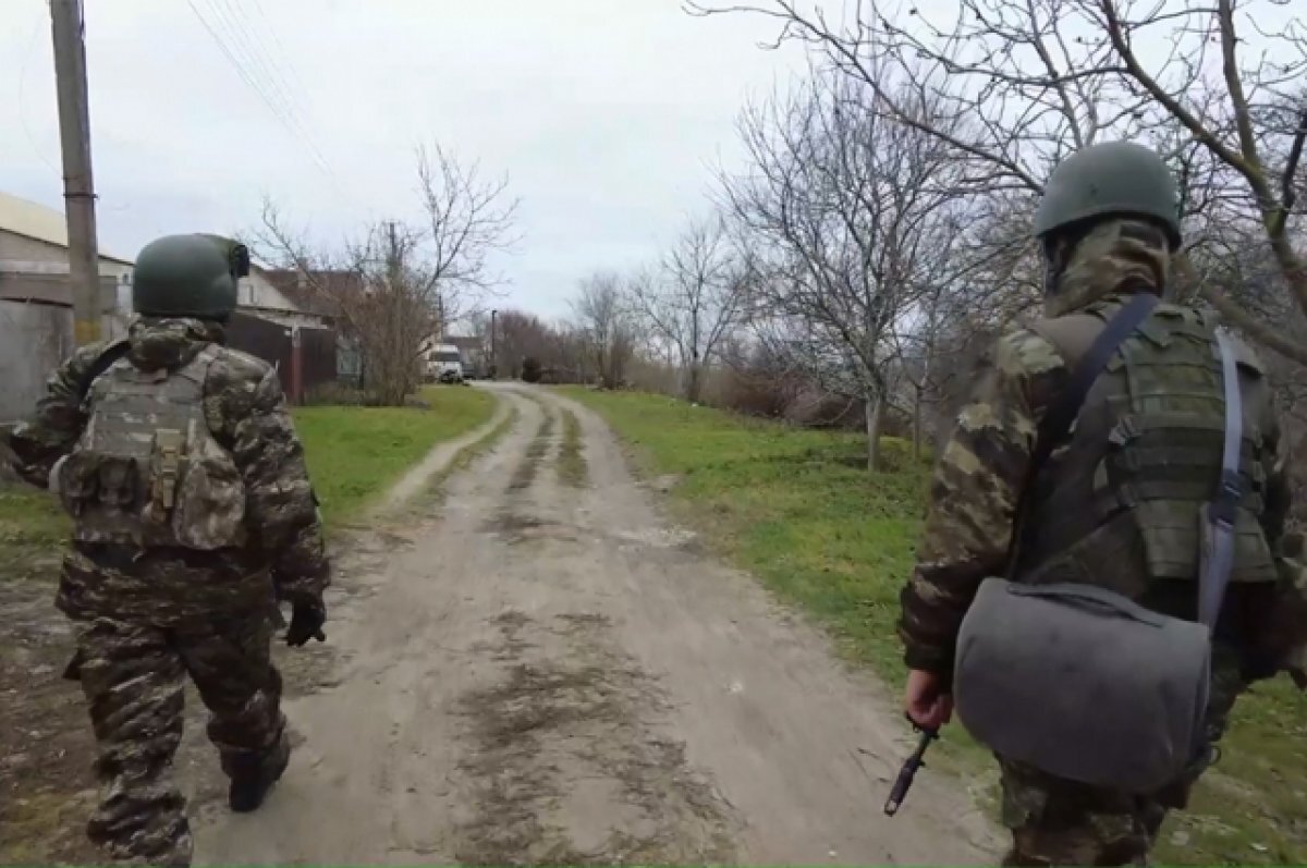    Бездомная собака Чубака стала талисманом разведчиков Южной группировки