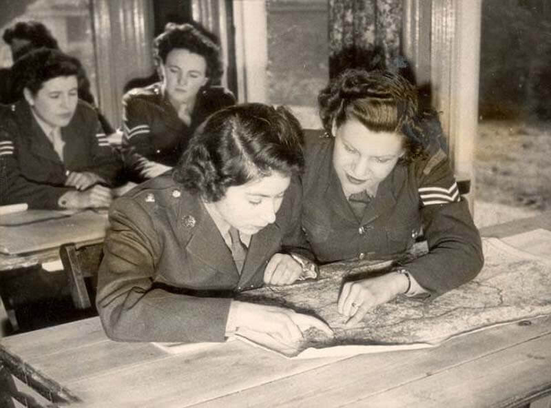 Королева на 16 недельных курсах