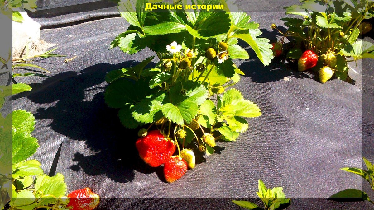 https://vk.com/photo-159774511_457244207