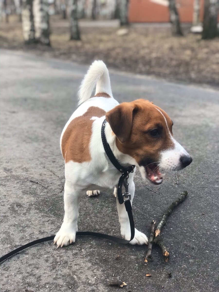 Вижу цель - иду к ней.