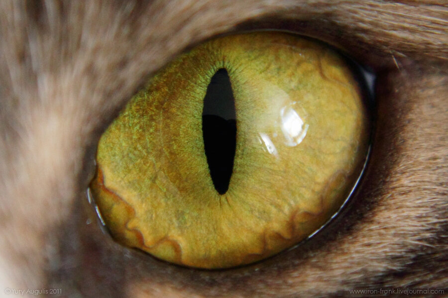 Картинка взята из поисковой системы интернета.