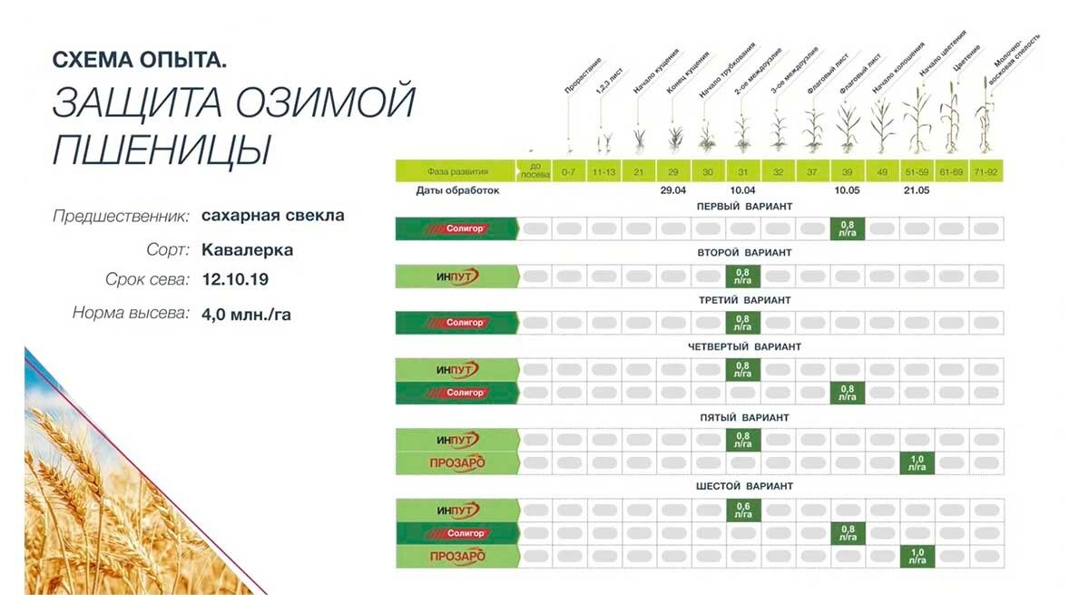 Годовой план защитных мероприятий зерновых