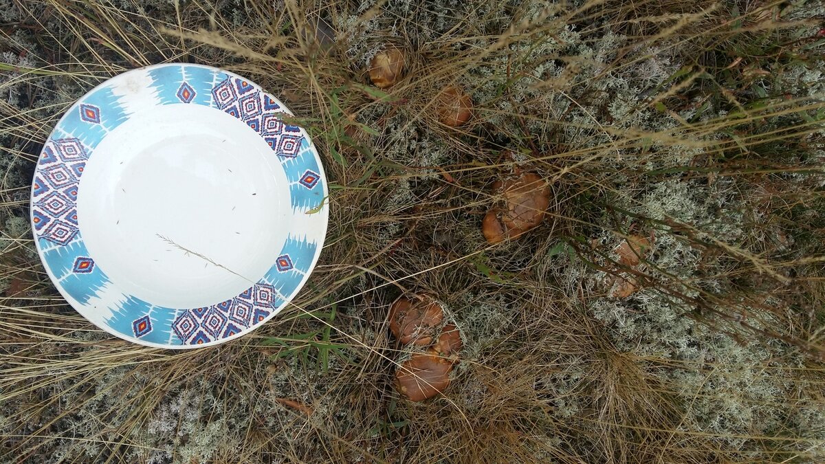 фото Туровой Светланы