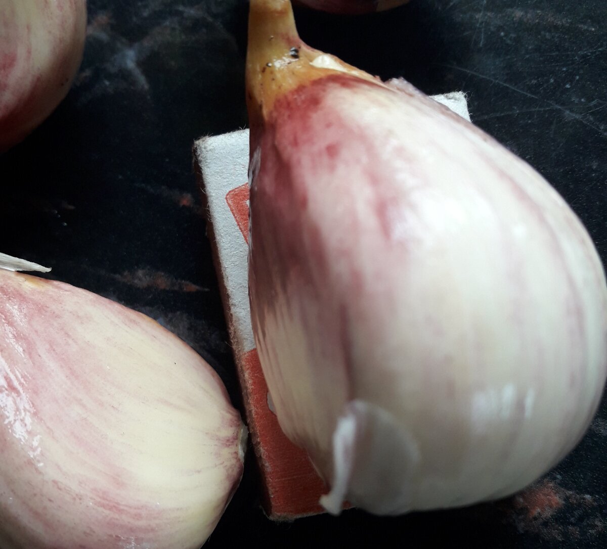 Зубчик чеснока на спичечном коробке