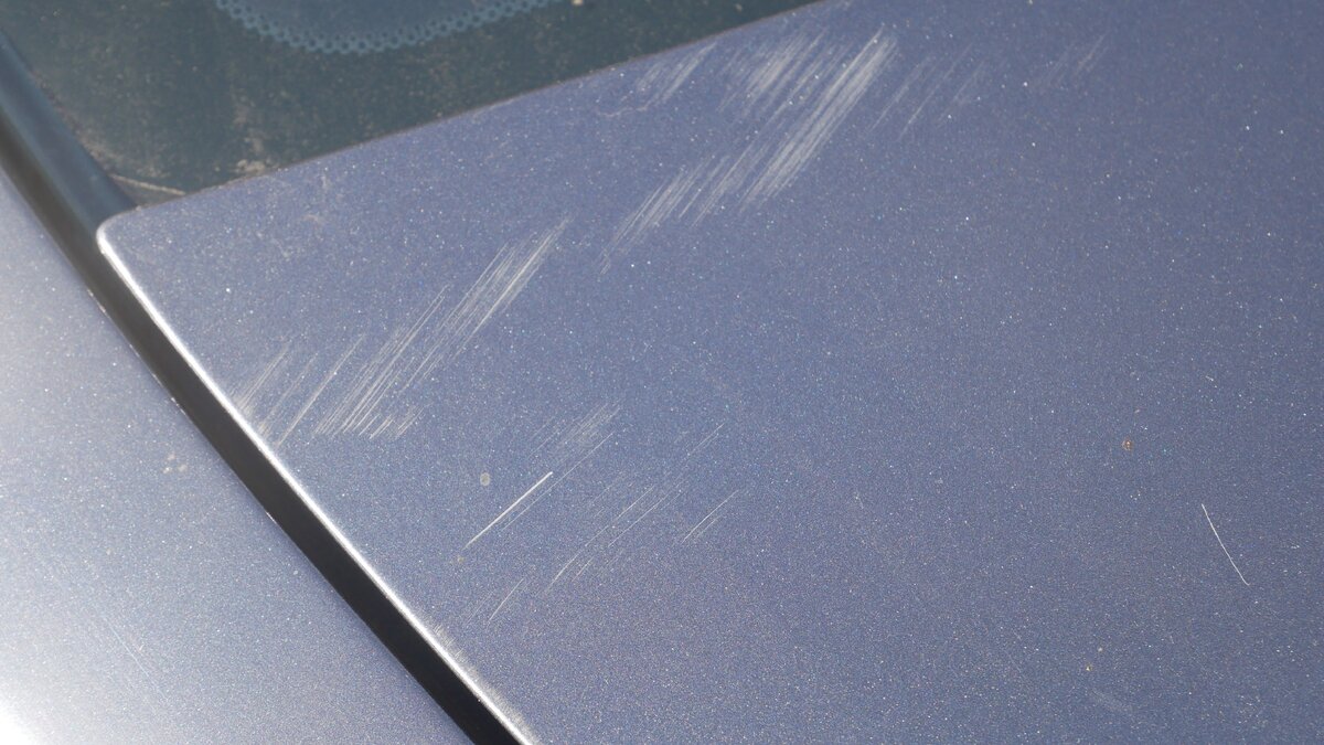 Это явно не кот