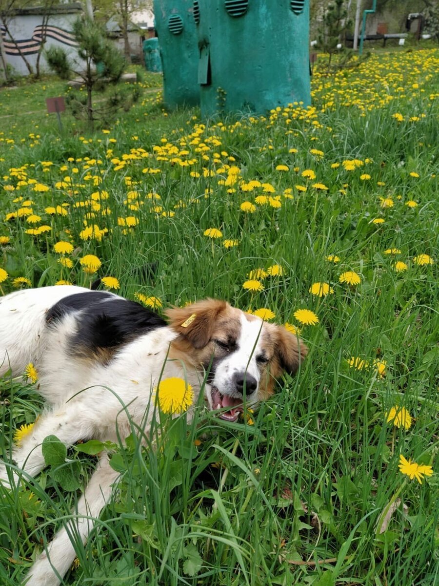 Дочка. Небольшая по размеру. Листайте фото в галерее