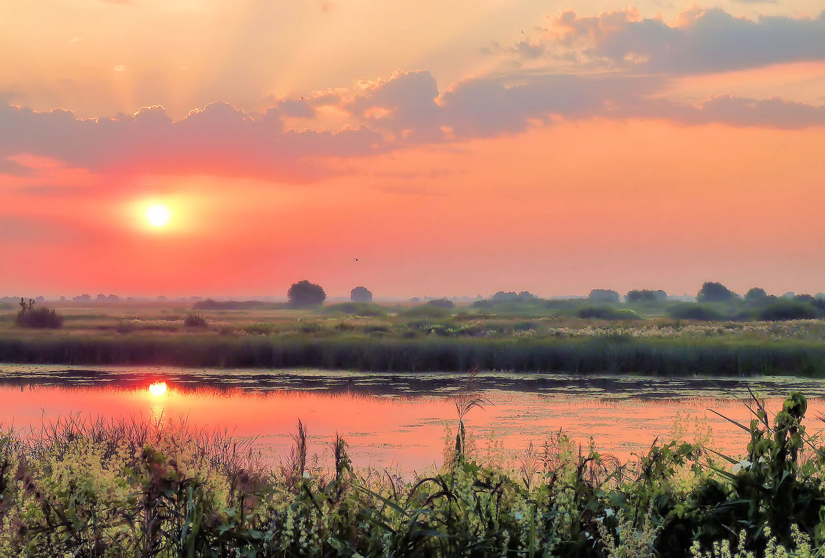 Фото из открытого источника Яндекс 