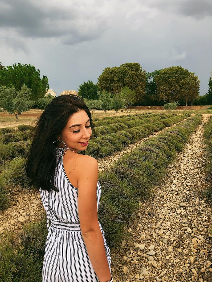 Лавандовое поле